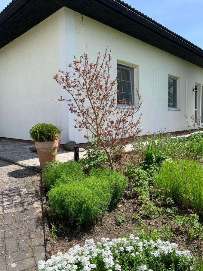 Studiovy Apartman V Zahrade Police nad Metují Exterior foto